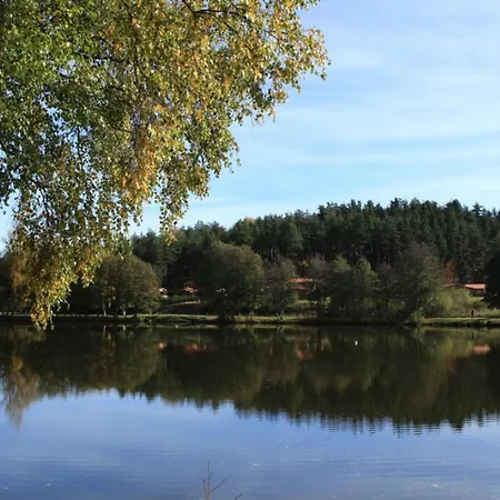 Moderne Au Cœur De La Nature - 4 Pers. - Fr-1-496-417 Séjour à la campagne Usson-en-Forez